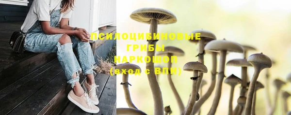 СК Бугульма