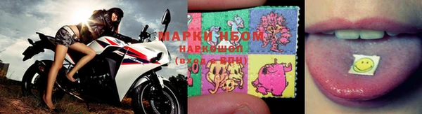 спиды Бородино