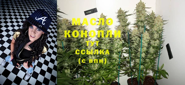 спиды Бородино