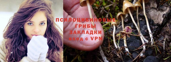 шишки Бронницы