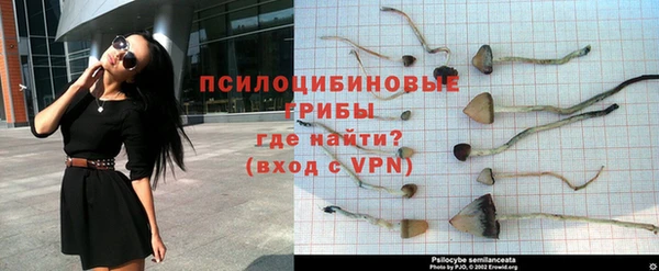 спиды Бородино