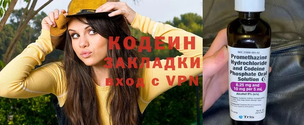 шишки Бронницы
