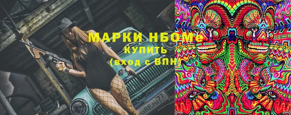 спиды Бородино